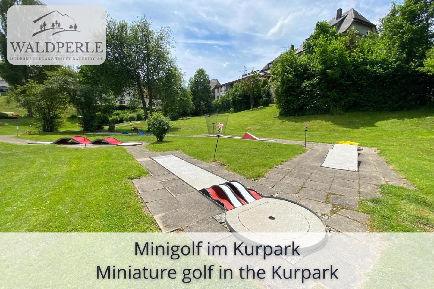 Exklusives 5-Sterne Apartment Waldperle Mit Indoor-Pool, Sauna, Top Lage Und Ausblick In Die Natur, Hunde Willkommen Schonach im Schwarzwald Екстер'єр фото