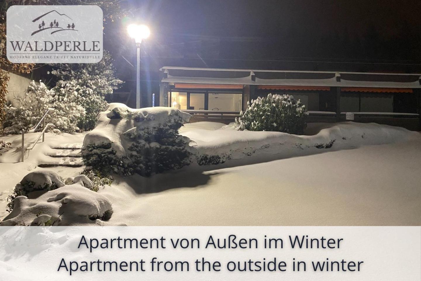 Exklusives 5-Sterne Apartment Waldperle Mit Indoor-Pool, Sauna, Top Lage Und Ausblick In Die Natur, Hunde Willkommen Schonach im Schwarzwald Екстер'єр фото