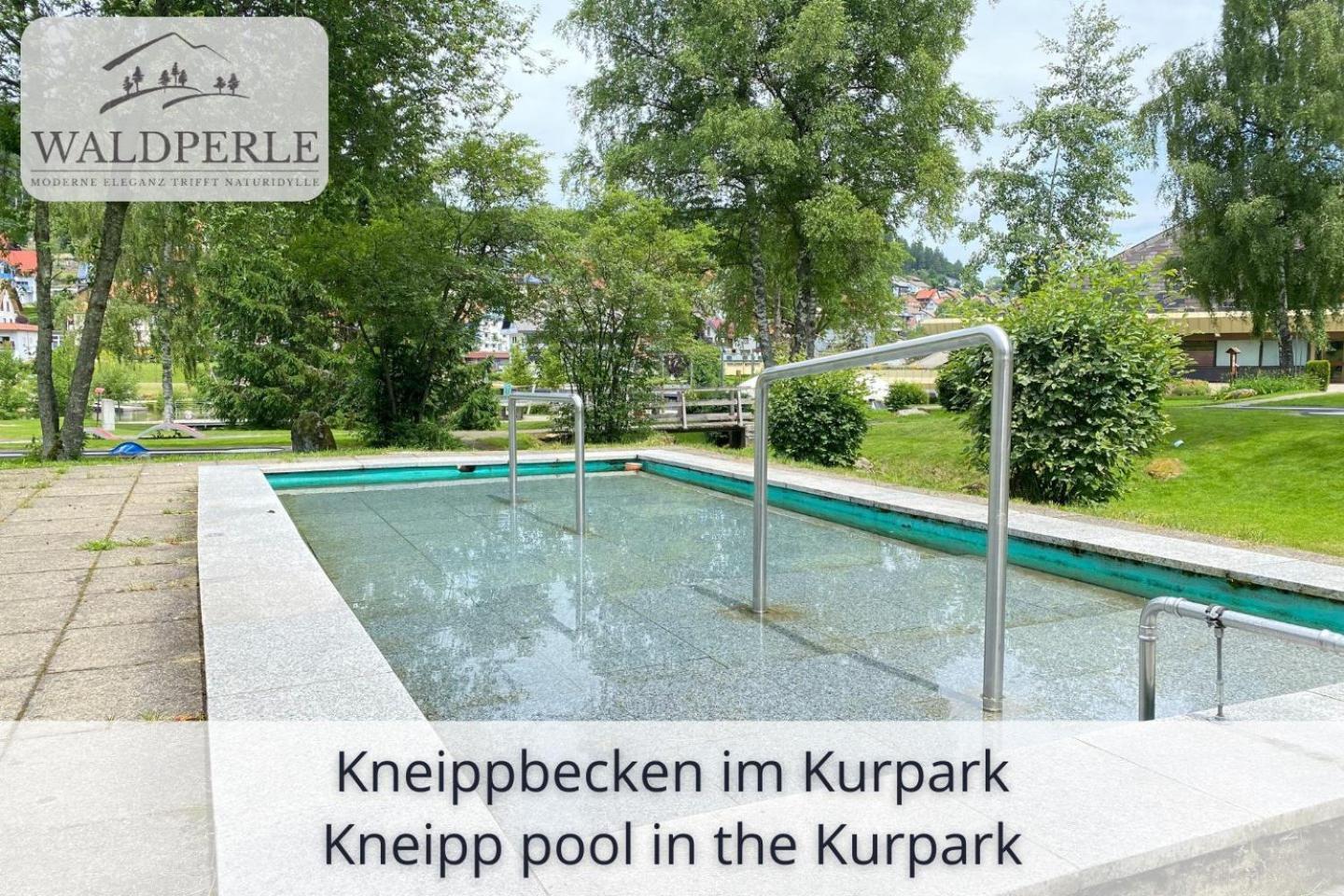 Exklusives 5-Sterne Apartment Waldperle Mit Indoor-Pool, Sauna, Top Lage Und Ausblick In Die Natur, Hunde Willkommen Schonach im Schwarzwald Екстер'єр фото