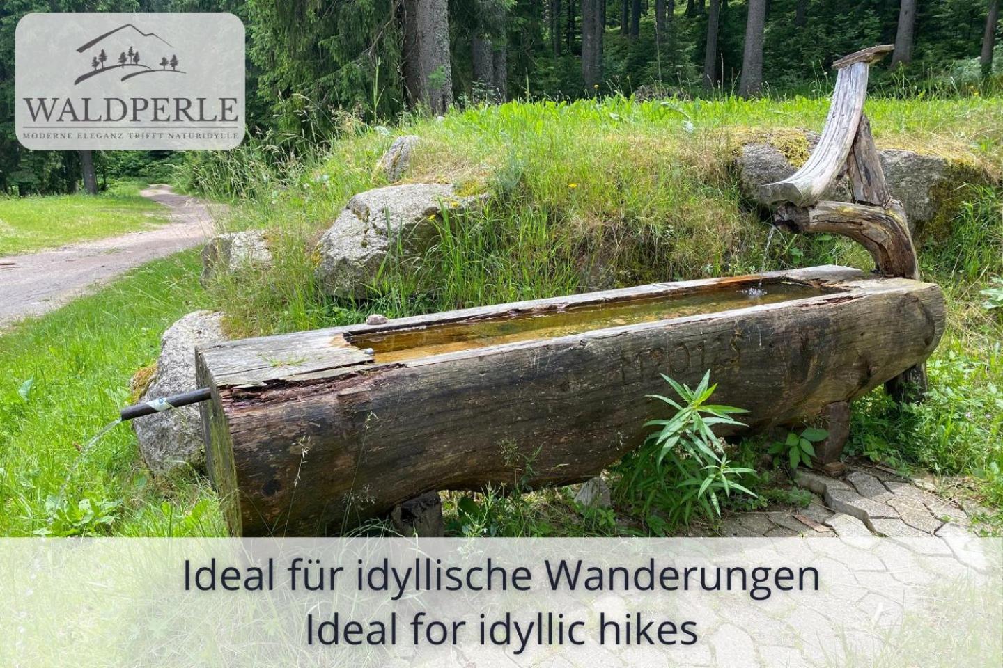 Exklusives 5-Sterne Apartment Waldperle Mit Indoor-Pool, Sauna, Top Lage Und Ausblick In Die Natur, Hunde Willkommen Schonach im Schwarzwald Екстер'єр фото