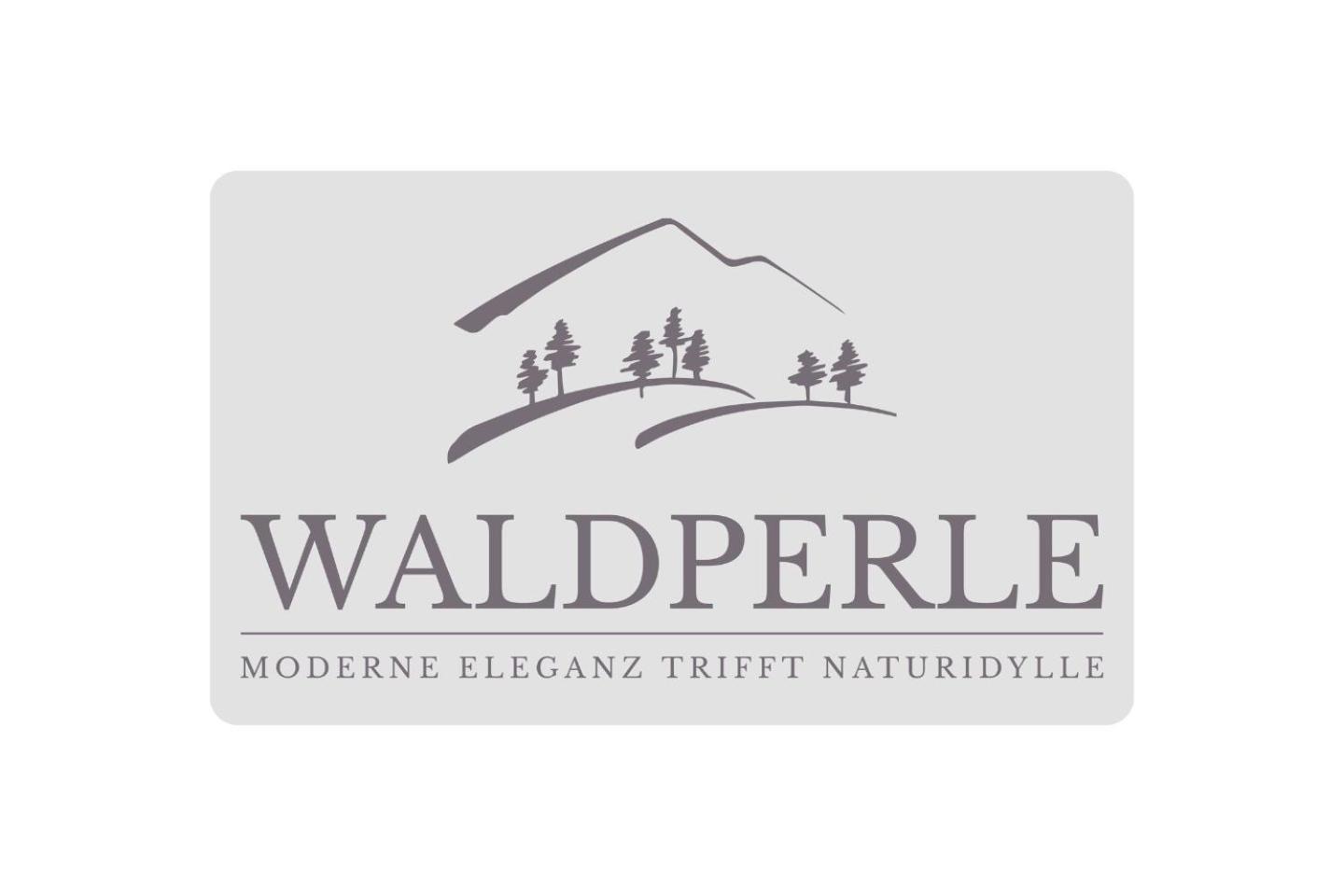 Exklusives 5-Sterne Apartment Waldperle Mit Indoor-Pool, Sauna, Top Lage Und Ausblick In Die Natur, Hunde Willkommen Schonach im Schwarzwald Екстер'єр фото