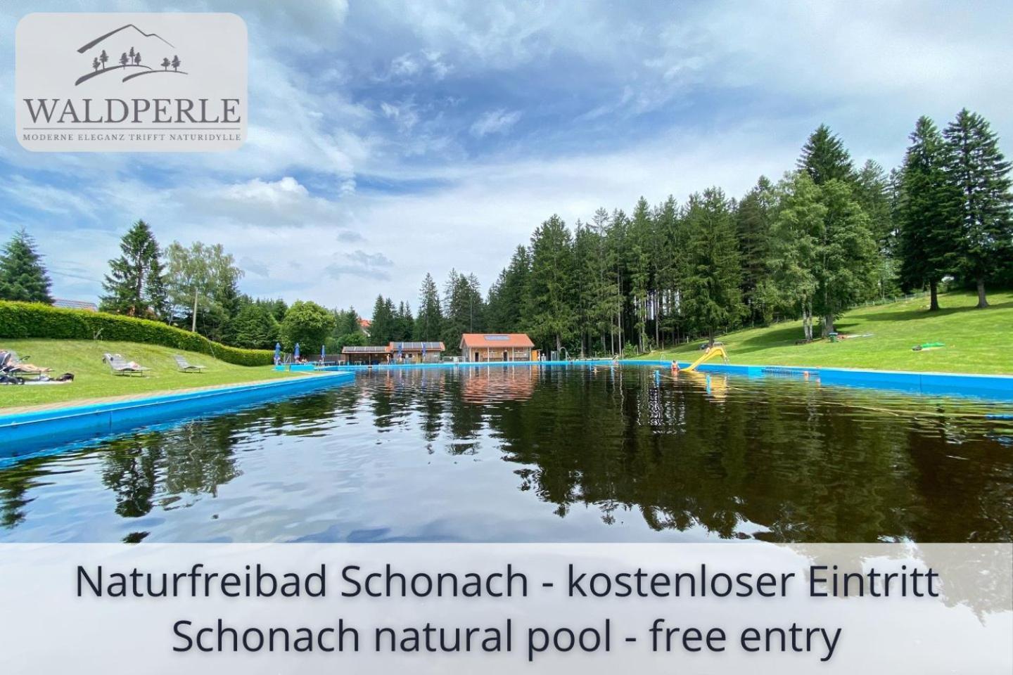 Exklusives 5-Sterne Apartment Waldperle Mit Indoor-Pool, Sauna, Top Lage Und Ausblick In Die Natur, Hunde Willkommen Schonach im Schwarzwald Екстер'єр фото
