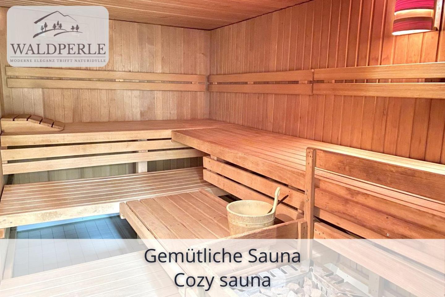 Exklusives 5-Sterne Apartment Waldperle Mit Indoor-Pool, Sauna, Top Lage Und Ausblick In Die Natur, Hunde Willkommen Schonach im Schwarzwald Екстер'єр фото