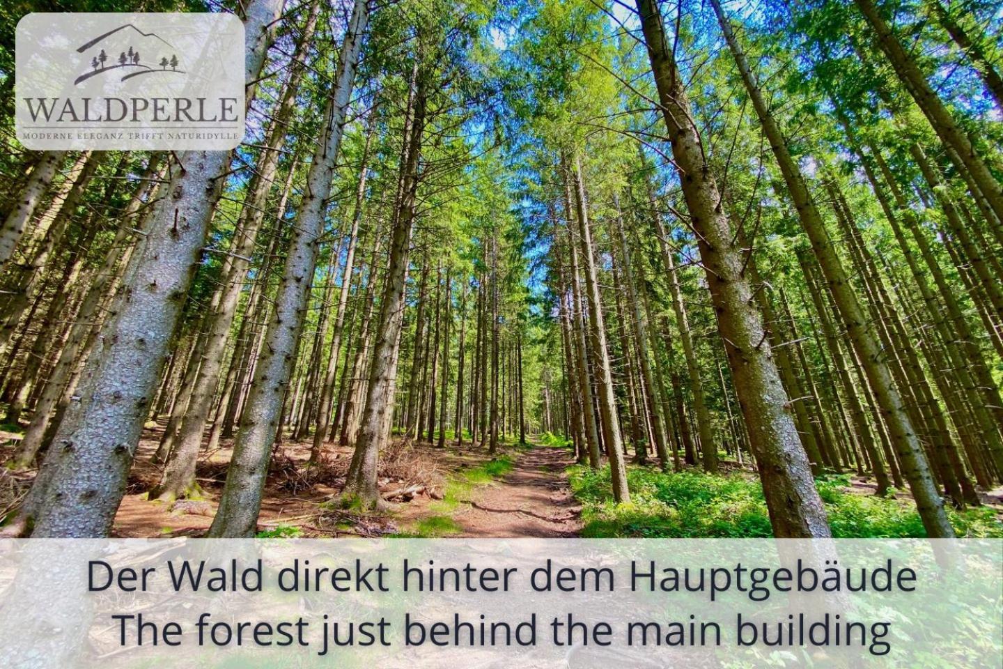 Exklusives 5-Sterne Apartment Waldperle Mit Indoor-Pool, Sauna, Top Lage Und Ausblick In Die Natur, Hunde Willkommen Schonach im Schwarzwald Екстер'єр фото
