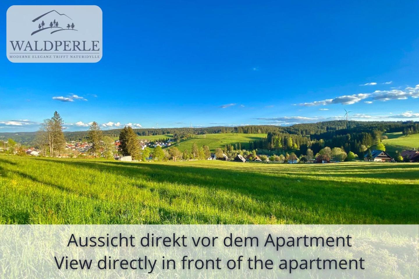 Exklusives 5-Sterne Apartment Waldperle Mit Indoor-Pool, Sauna, Top Lage Und Ausblick In Die Natur, Hunde Willkommen Schonach im Schwarzwald Екстер'єр фото