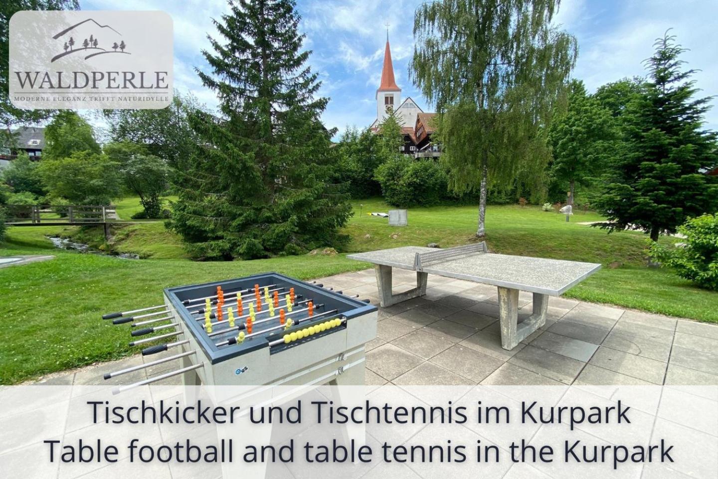 Exklusives 5-Sterne Apartment Waldperle Mit Indoor-Pool, Sauna, Top Lage Und Ausblick In Die Natur, Hunde Willkommen Schonach im Schwarzwald Екстер'єр фото