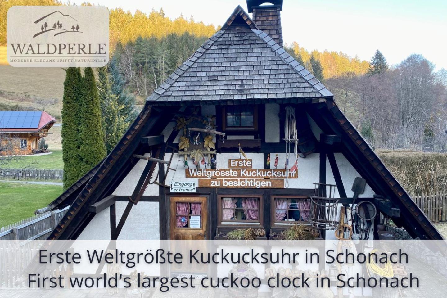 Exklusives 5-Sterne Apartment Waldperle Mit Indoor-Pool, Sauna, Top Lage Und Ausblick In Die Natur, Hunde Willkommen Schonach im Schwarzwald Екстер'єр фото