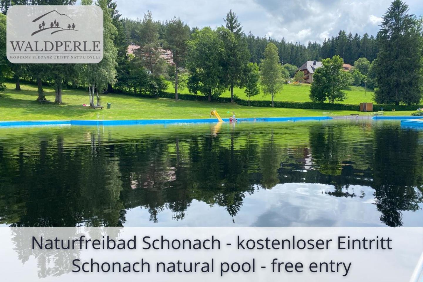 Exklusives 5-Sterne Apartment Waldperle Mit Indoor-Pool, Sauna, Top Lage Und Ausblick In Die Natur, Hunde Willkommen Schonach im Schwarzwald Екстер'єр фото