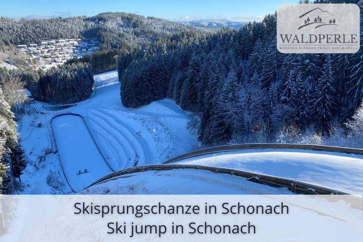 Exklusives 5-Sterne Apartment Waldperle Mit Indoor-Pool, Sauna, Top Lage Und Ausblick In Die Natur, Hunde Willkommen Schonach im Schwarzwald Екстер'єр фото