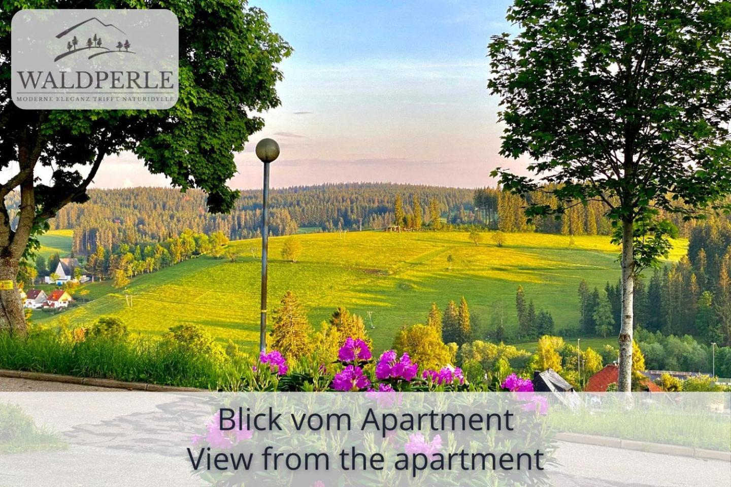 Exklusives 5-Sterne Apartment Waldperle Mit Indoor-Pool, Sauna, Top Lage Und Ausblick In Die Natur, Hunde Willkommen Schonach im Schwarzwald Екстер'єр фото