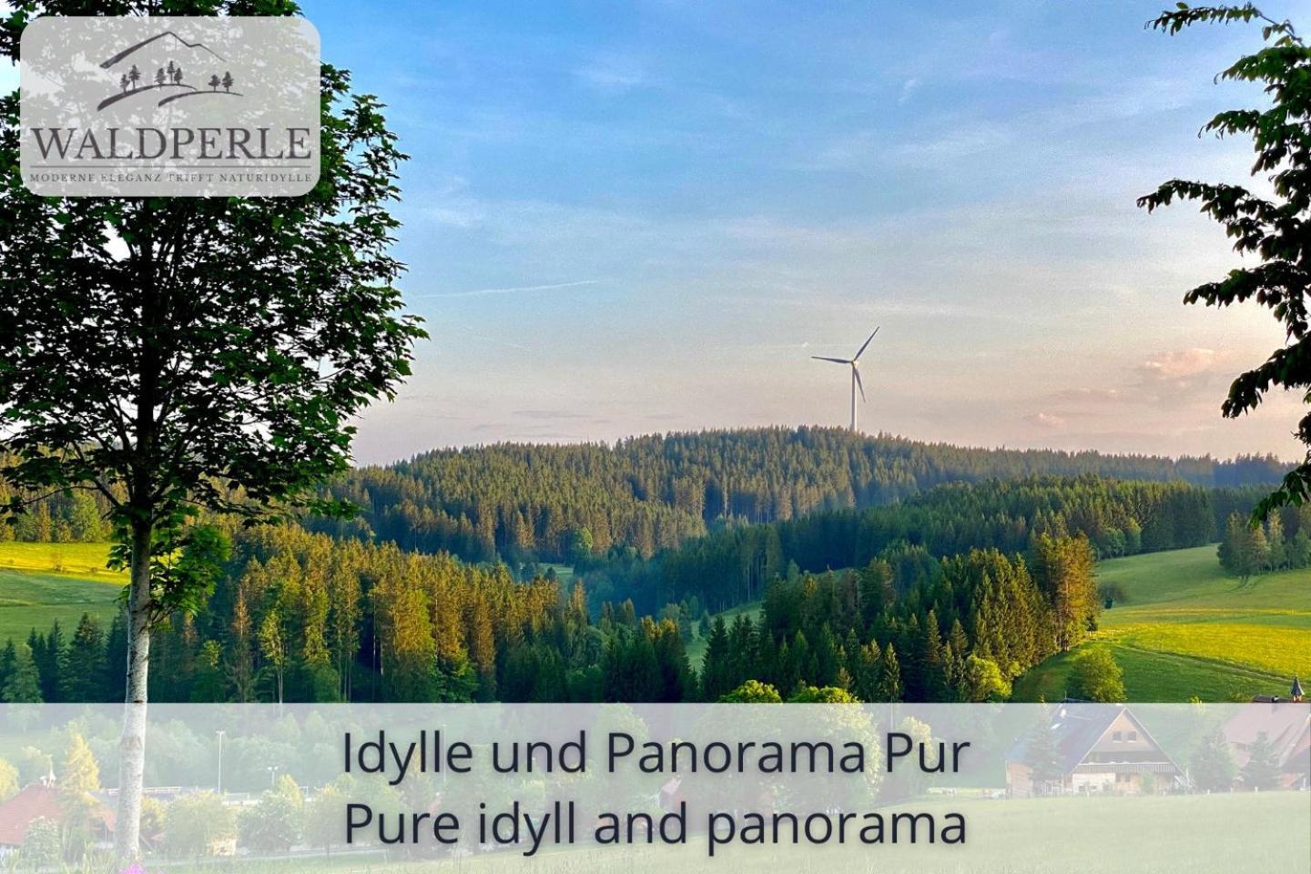 Exklusives 5-Sterne Apartment Waldperle Mit Indoor-Pool, Sauna, Top Lage Und Ausblick In Die Natur, Hunde Willkommen Schonach im Schwarzwald Екстер'єр фото