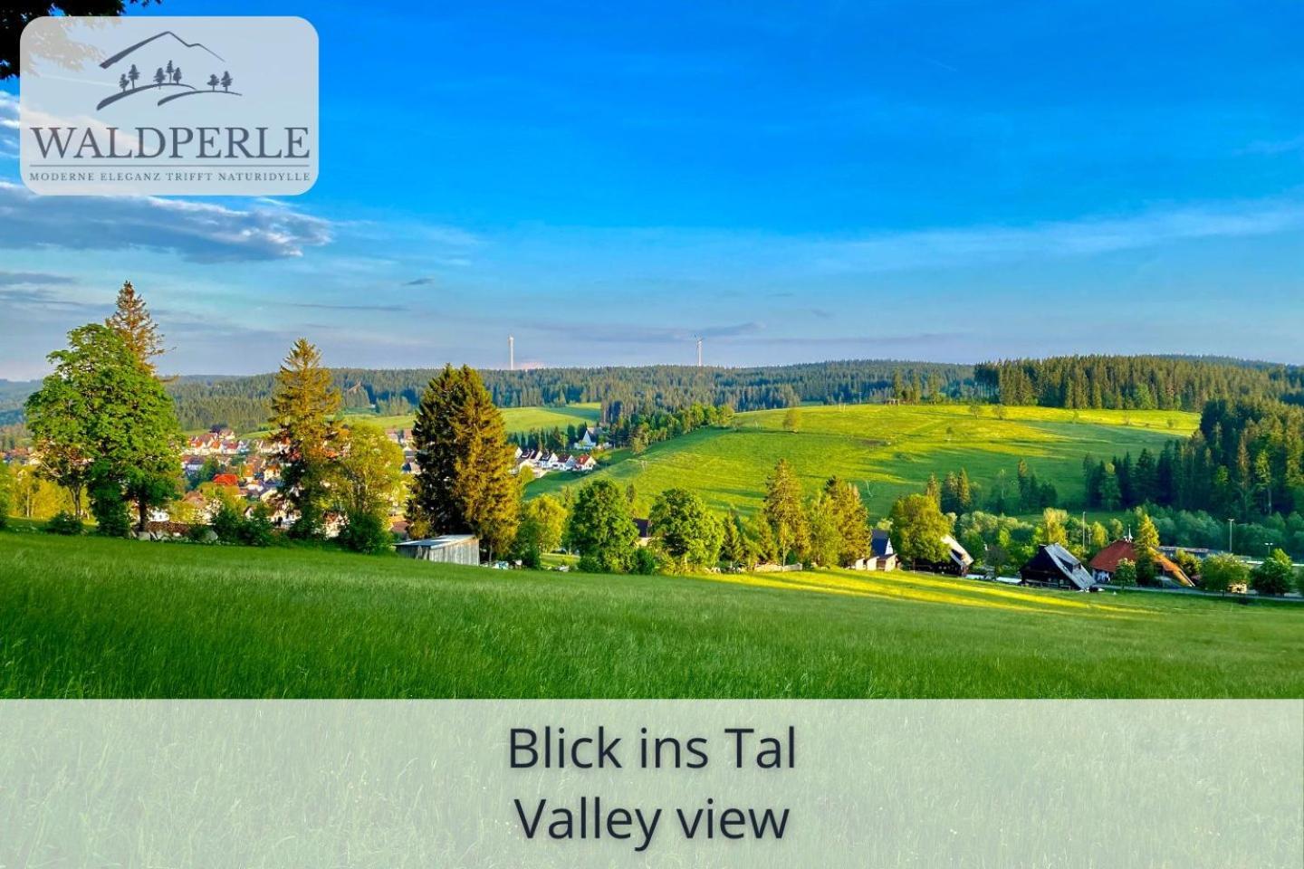 Exklusives 5-Sterne Apartment Waldperle Mit Indoor-Pool, Sauna, Top Lage Und Ausblick In Die Natur, Hunde Willkommen Schonach im Schwarzwald Екстер'єр фото