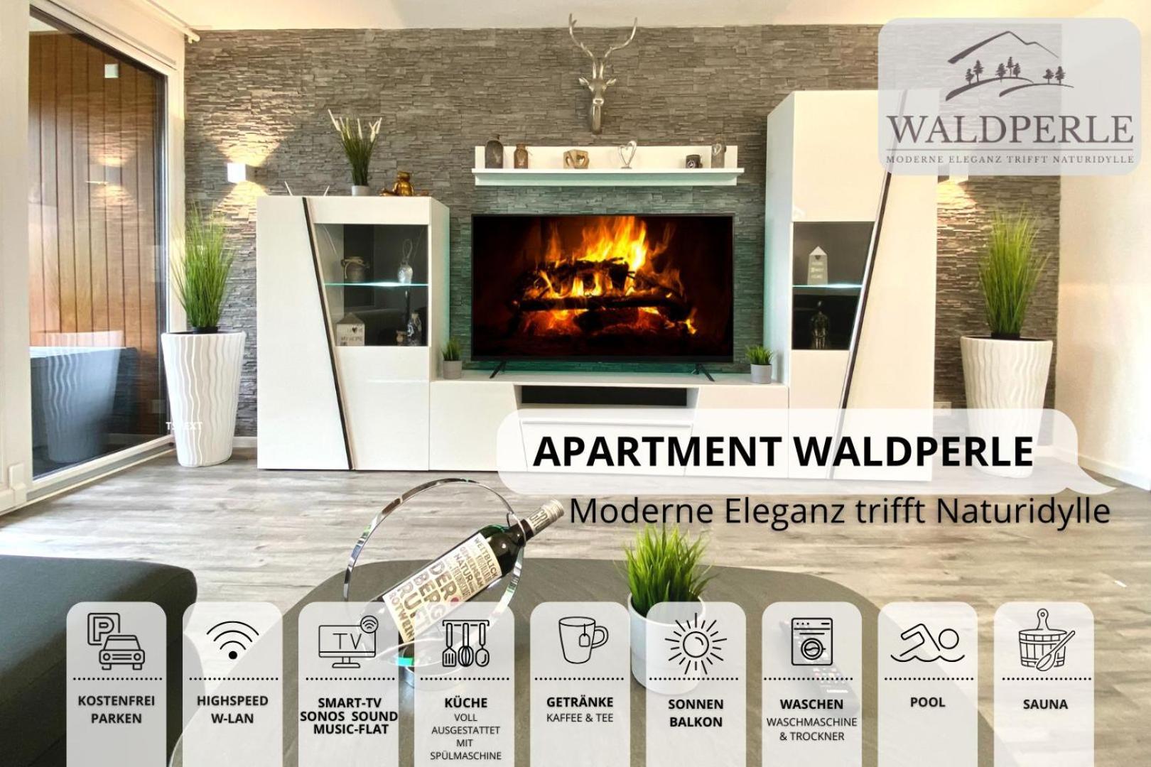 Exklusives 5-Sterne Apartment Waldperle Mit Indoor-Pool, Sauna, Top Lage Und Ausblick In Die Natur, Hunde Willkommen Schonach im Schwarzwald Екстер'єр фото